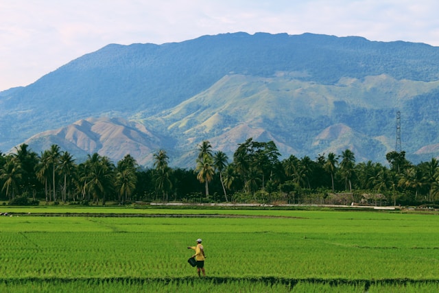 Etika Lingkungan dalam Arsitektur : Konsep Sawah Terasering pada Desain Bangunan Perkotaan | KF Map – Digital Map for Property and Infrastructure in Indonesia